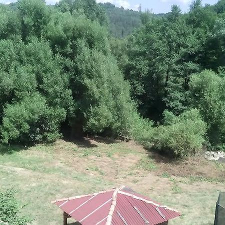 Guest Rooms Voneshcha Voda Voneshta Voda Luaran gambar